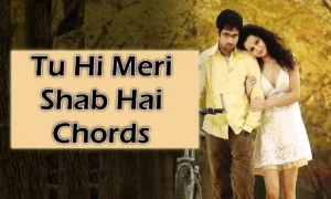 Tu Hi Meri Shab Hai Chords